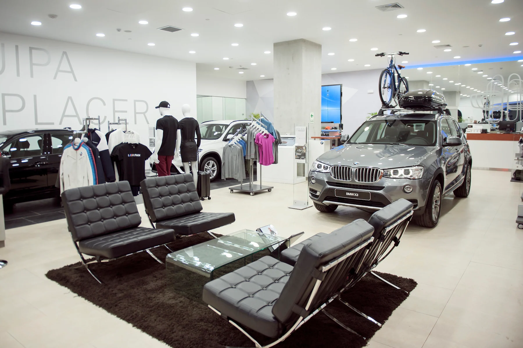 BMW — imagen 6